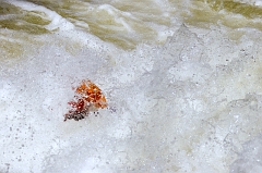 Kayaker 04 